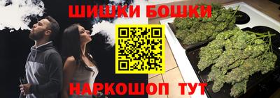 крисы Ирбит