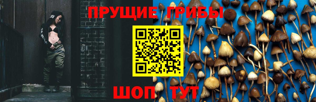 Галлюциногенные грибы Psilocybe  Вход с VPN  даркнет сайт  Люберцы 